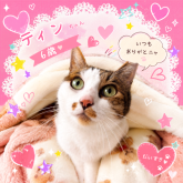 雑種