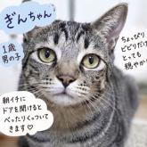 雑種