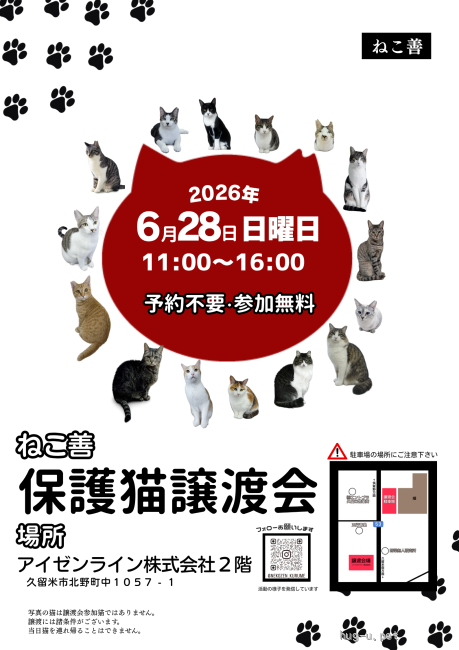 譲渡会 ねこ善譲渡会(福岡県)｜ハグー -みんなのペット里親情報