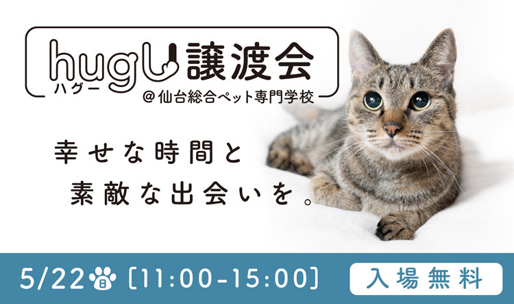 【告知！】延期していたhugU譲渡会を5/22(日)開催！！