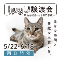 2022年5月22日、6月18日両日開催。『hugU譲渡会』結果報告