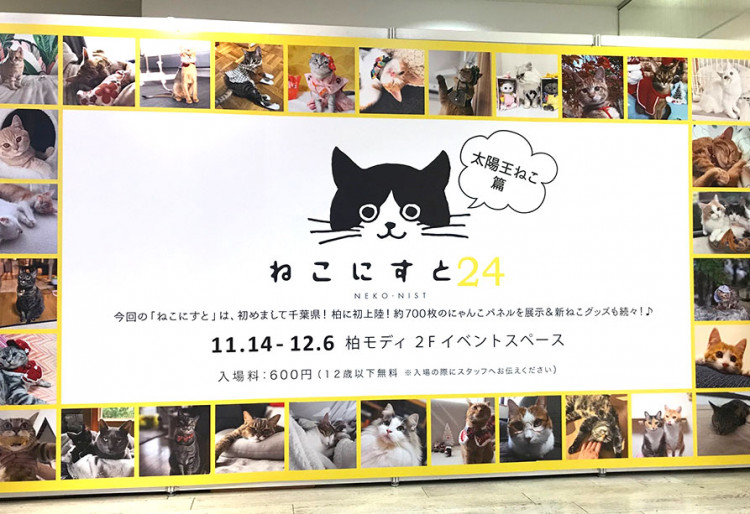 初めての千葉県開催！『ねこにすと24』は、柏にて好評のうち終了しました。