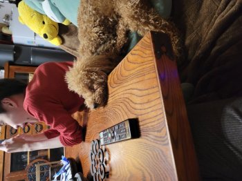 うにくん