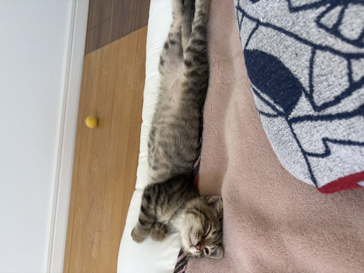 はる