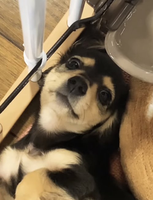 くぅ