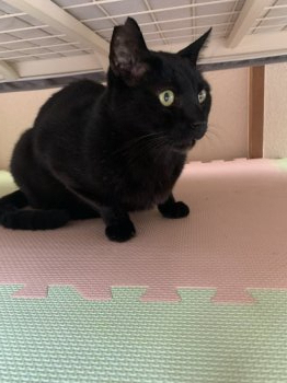 くーちゃんくん