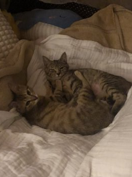 サブリナちゃん