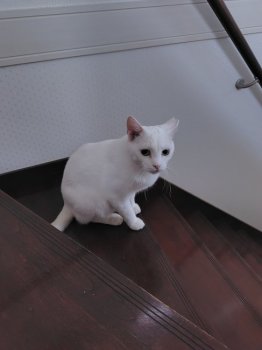 ひまりちゃん