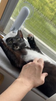 シナちゃんとモンちゃんちゃん