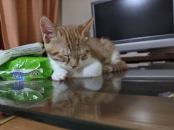 麦くん