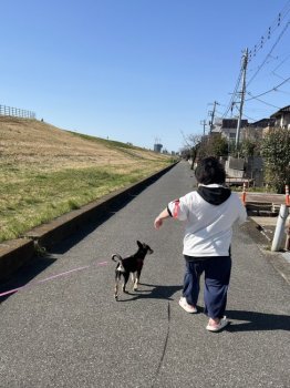 イチゴちゃん