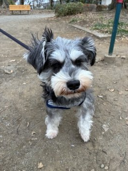 びびっこちゃんちゃん