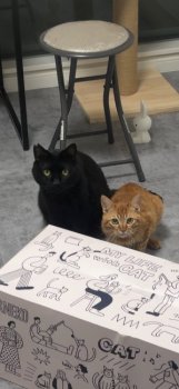 どん　と　ぐりくん