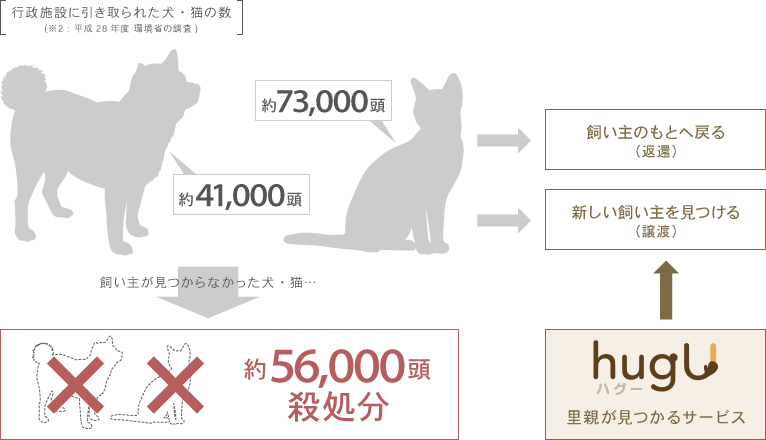 行政施設に引き取られた犬・猫の数（※2：平成28年度 環境省の調査）
