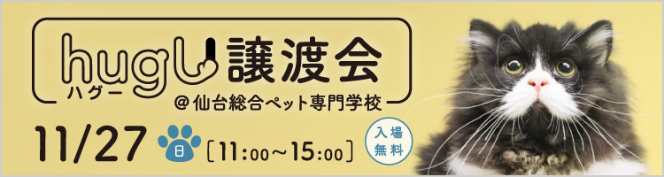 ペットの里親募集 犬 猫 小動物など ハグー みんなのペット里親情報